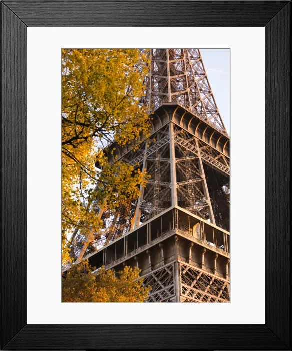 Framed Print : France, Paris, Eiffel Tower, sunset Framed Print : France, Paris, Eiffel Tower, sunset