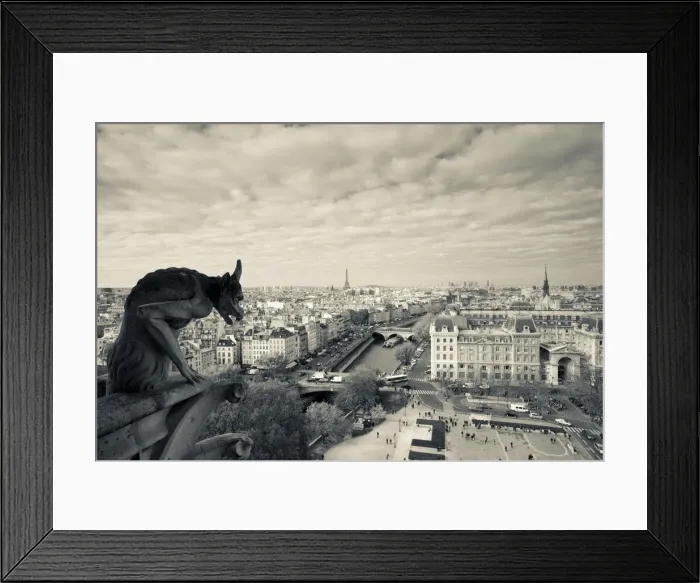 Framed Print : France, Paris, elevated city view from the Cathedrale Notre Dame cathedral with gargoyles Framed Print : France, Paris, elevated city view from the Cathedrale Notre Dame cathedral with gargoyles