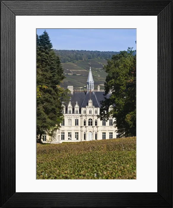 Framed Print : France, Marne, Champagne Region, Boursault, Chateau de Borsault Framed Print : France, Marne, Champagne Region, Boursault, Chateau de Borsault