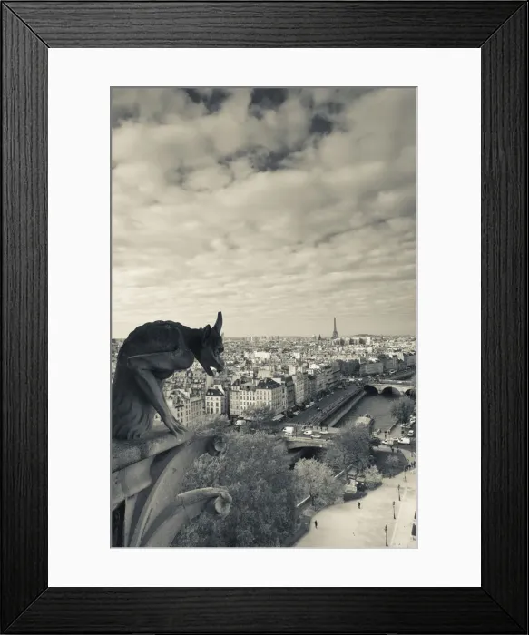 Framed Print : France, Paris, elevated city view from the Cathedrale Notre Dame cathedral with gargoyles Framed Print : France, Paris, elevated city view from the Cathedrale Notre Dame cathedral with gargoyles