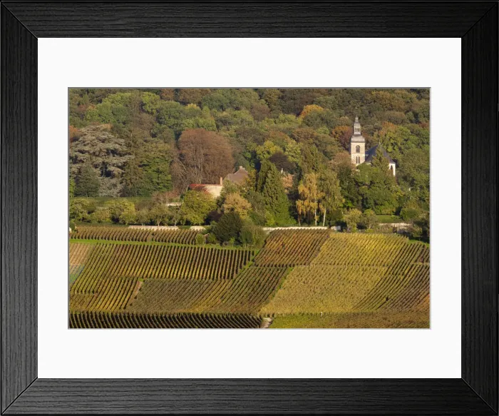 Framed Print : France, Marne, Champagne Region, Hautvillers, vineyard view Framed Print : France, Marne, Champagne Region, Hautvillers, vineyard view