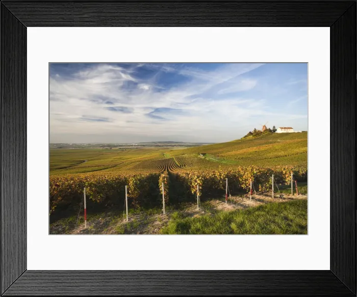 Framed Print : France, Marne, Champagne Ardenne, Verzenay, windmill and vineyards