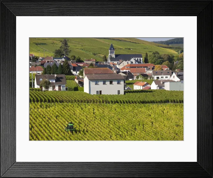 Framed Print : France, Marne, Champagne Region, Oger, town and vineyards, autumn
