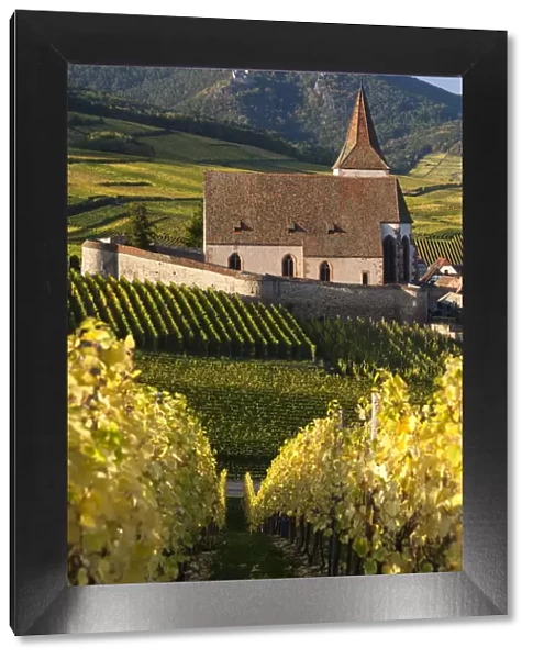 France, Haut-Rhin, Alsace Region, Alasatian Wine Route, Hunawihr, town church