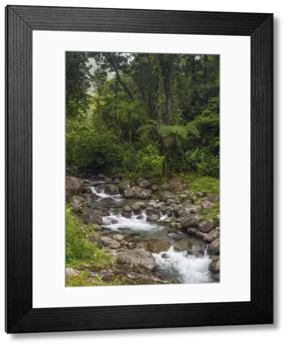 Framed Print : Caribbean, Martinique, Route de la Trace, Riviere Blanche, Alma Waterfall at Pont Framed Print : Caribbean, Martinique, Route de la Trace, Riviere Blanche, Alma Waterfall at Pont