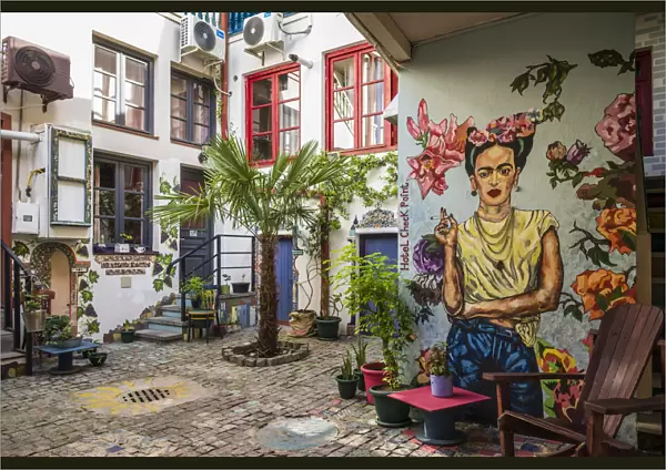 Georgia, Tbilisi, Old Town, Hotel Check Point, Frida Kahlo wall art