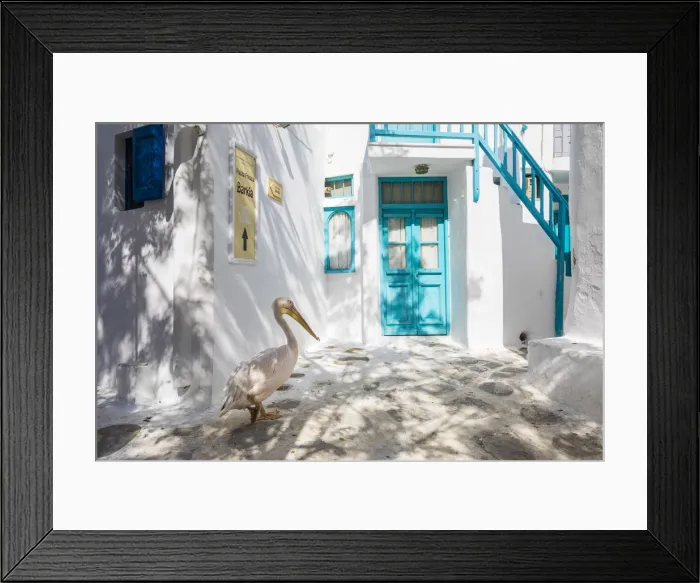 Framed Print : Pelican wandering streets of Chora (Mykonos Town), Mykonos, Cyclades Islands, Greece Framed Print : Pelican wandering streets of Chora (Mykonos Town), Mykonos, Cyclades Islands, Greece