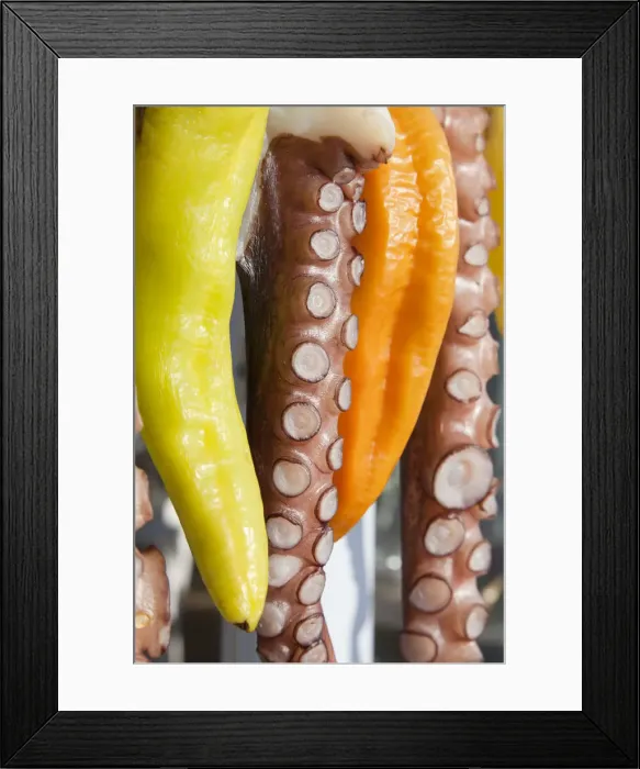 Framed Print : Octopus (ohtapodi) drying outside a restaurant in Fira, Santorini (Thira), Cyclades
