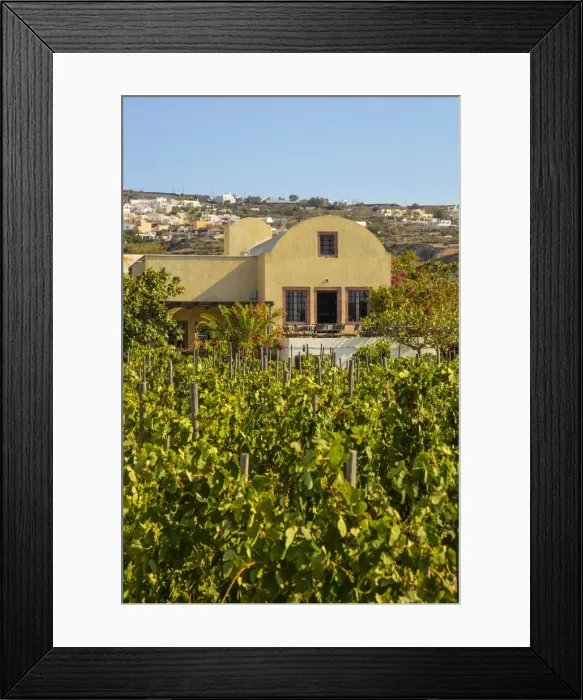 Framed Print : Domaine Sigalas winery, Santorini (Thira), Cyclades Islands, Greece Framed Print : Domaine Sigalas winery, Santorini (Thira), Cyclades Islands, Greece