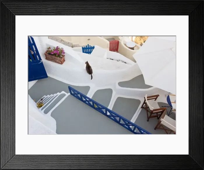 Framed Print : Cat & The village of Oia Santorini Cyclades islands, Greece Framed Print : Cat & The village of Oia Santorini Cyclades islands, Greece