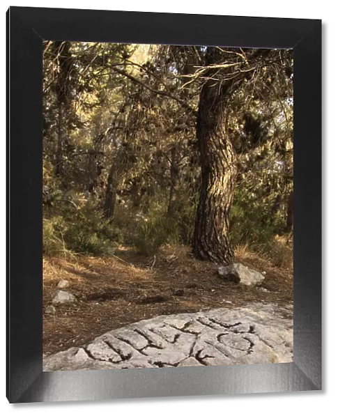 Israel, Southern Coastal Plain, one of the Gezer Boundary stones with