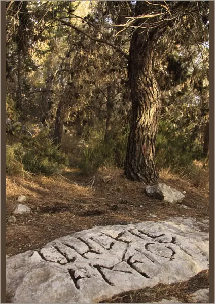 Israel, Southern Coastal Plain, one of the Gezer Boundary stones with