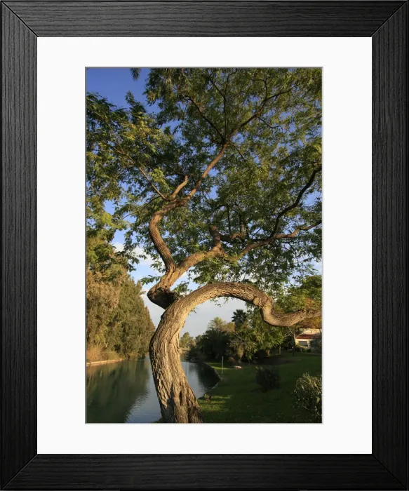 Framed Print : Israel, Beth Shean valley. Amal Stream in kibbutz Nir David Framed Print : Israel, Beth Shean valley. Amal Stream in kibbutz Nir David