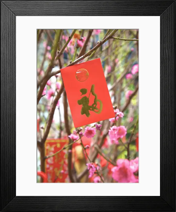 Framed Print : Cherry Blossom Trees With Lai See Red Envelopes For Chinese New Year, Hong Kong, Special Framed Print : Cherry Blossom Trees With Lai See Red Envelopes For Chinese New Year, Hong Kong, Special