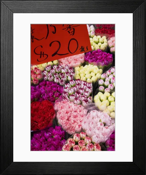 Framed Print : China, Hong Kong, Kowloon, flower market Framed Print : China, Hong Kong, Kowloon, flower market