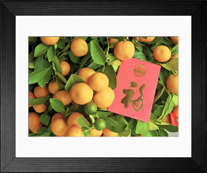 Framed Print : Chinese New Year Kumquat Trees With Lai See Red Envelopes, Hong Kong, Special Framed Print : Chinese New Year Kumquat Trees With Lai See Red Envelopes, Hong Kong, Special