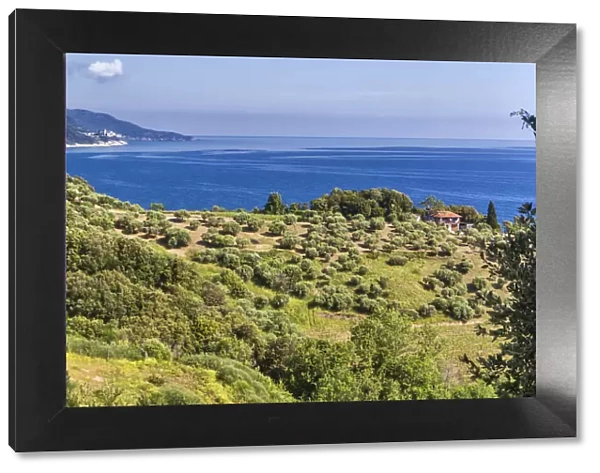Aegean sea coast, Mount Athos, Athos peninsula, Greece