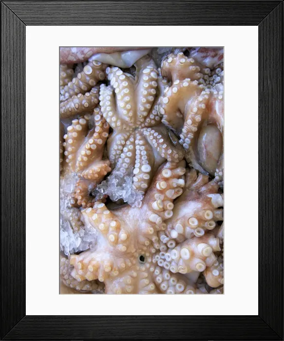 Framed Print : Octopus In The Market, Kalymnos, Dodecanese, Greek Islands, Greece, Europe