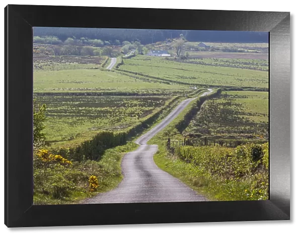 Ireland, County Donegal, Burt, country road