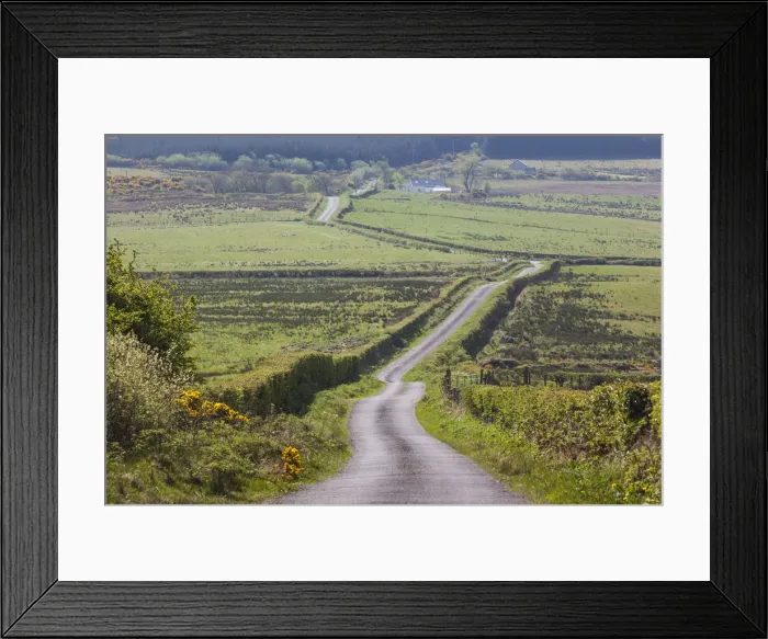 Framed Print : Ireland, County Donegal, Burt, country road Framed Print : Ireland, County Donegal, Burt, country road