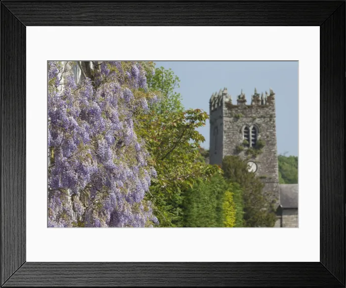 Framed Print : Ireland, County Kilkenny, Inistioge, flower covered house Framed Print : Ireland, County Kilkenny, Inistioge, flower covered house