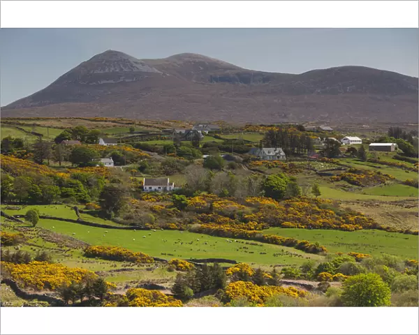 Ireland, County Donegal, Dunfanaghy, landscape by Muckish Mountain