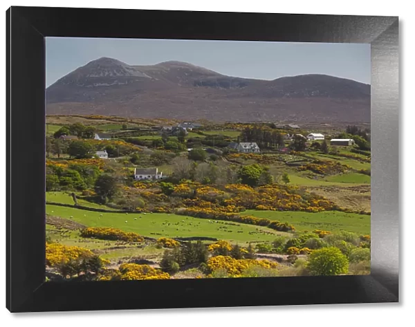 Ireland, County Donegal, Dunfanaghy, landscape by Muckish Mountain