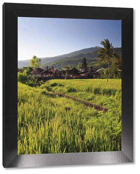 Indonesia, Bali, East Bali, Amed, Rice Fields and small temple