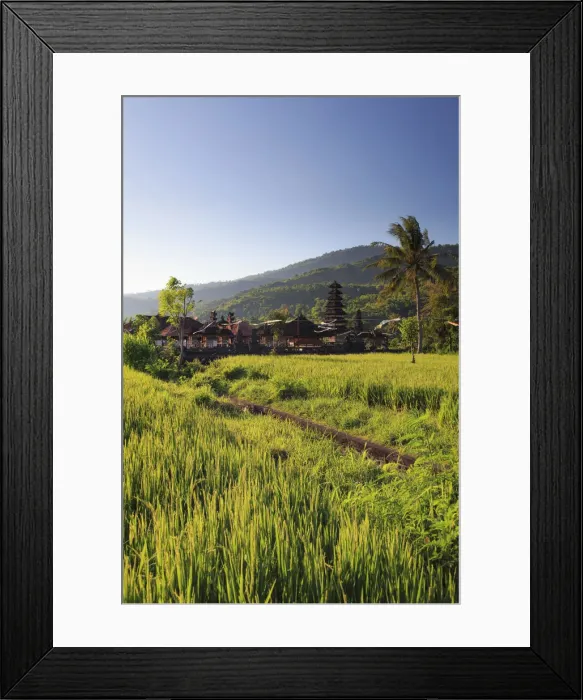 Framed Print : Indonesia, Bali, East Bali, Amed, Rice Fields and small temple Framed Print : Indonesia, Bali, East Bali, Amed, Rice Fields and small temple