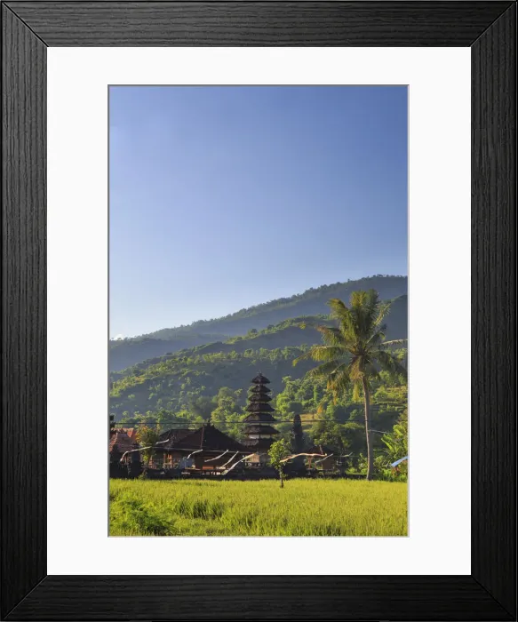 Framed Print : Indonesia, Bali, East Bali, Amed, Rice Fields and small temple Framed Print : Indonesia, Bali, East Bali, Amed, Rice Fields and small temple
