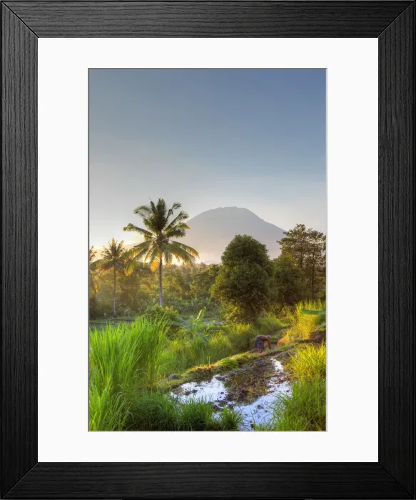 Framed Print : Indonesia, Bali, East Bali, Amlapura, Rice Fields and Gunung Agung Volcano Framed Print : Indonesia, Bali, East Bali, Amlapura, Rice Fields and Gunung Agung Volcano