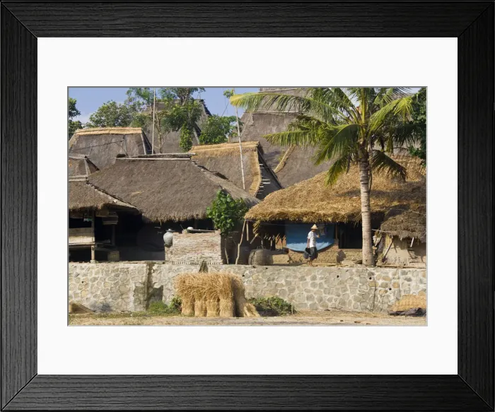 Framed Print : Sasak village nr Kuta, Lombok, Indonesia Framed Print : Sasak village nr Kuta, Lombok, Indonesia