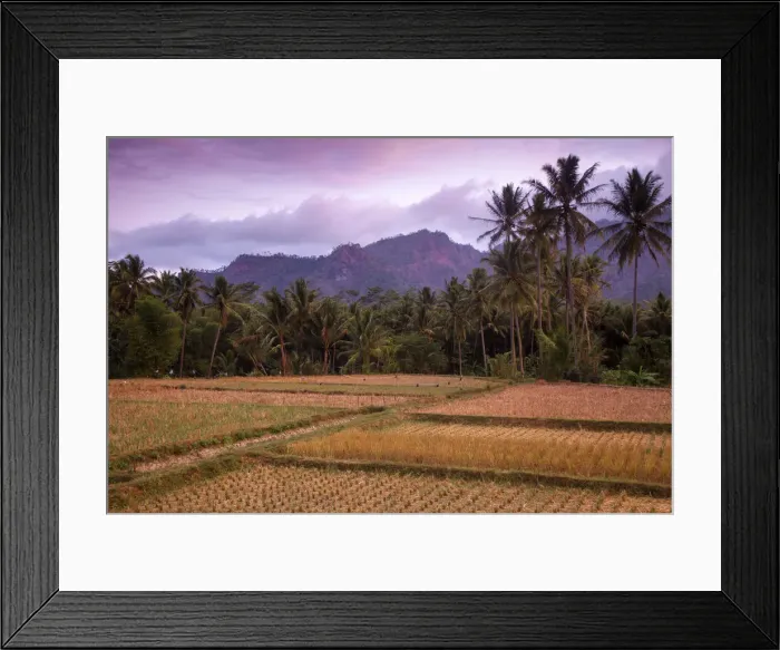 Framed Print : Indonesia, Java, Magelang, Borobudur, Scenery at Borobudur Framed Print : Indonesia, Java, Magelang, Borobudur, Scenery at Borobudur