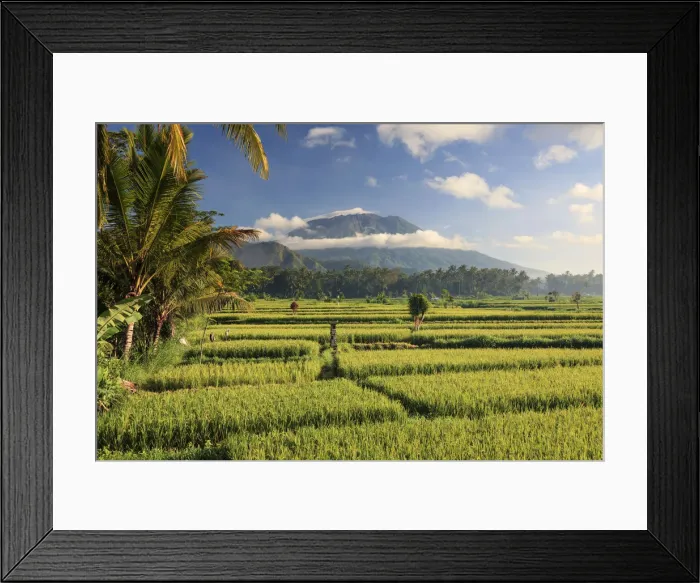 Framed Print : Indonesia, Bali, Rice Terraces and Gunung Agung Volcano