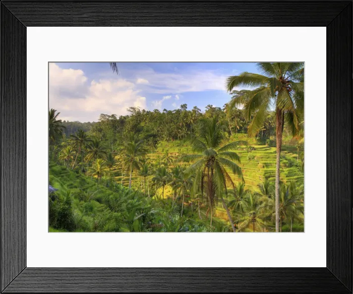 Framed Print : Indonesia, Bali, Ubud, Tegallalang  /  Ceking Rice Terraces