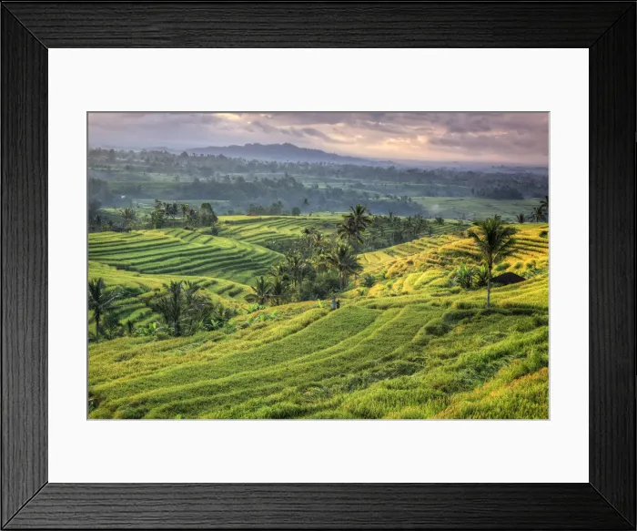 Framed Print : Indonesia, Bali, Jatiluwih Rice Terraces