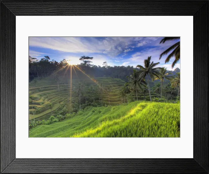 Framed Print : Indonesia, Bali, Ubud, Ceking Rice Terraces Framed Print : Indonesia, Bali, Ubud, Ceking Rice Terraces