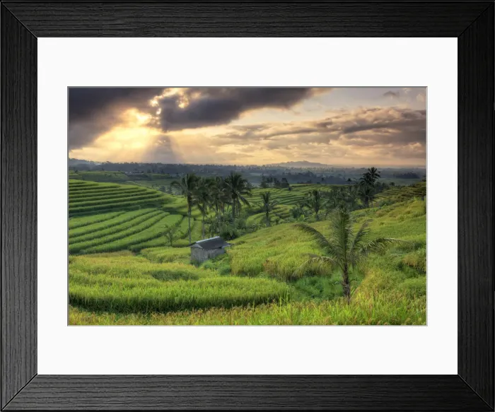 Framed Print : Indonesia, Bali, Jatiluwih Rice Terraces