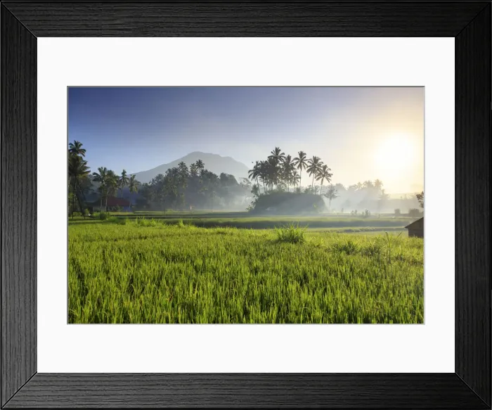 Framed Print : Indonesia, Bali, Selat, Rice Fields and Gunung Agung Volcano Framed Print : Indonesia, Bali, Selat, Rice Fields and Gunung Agung Volcano