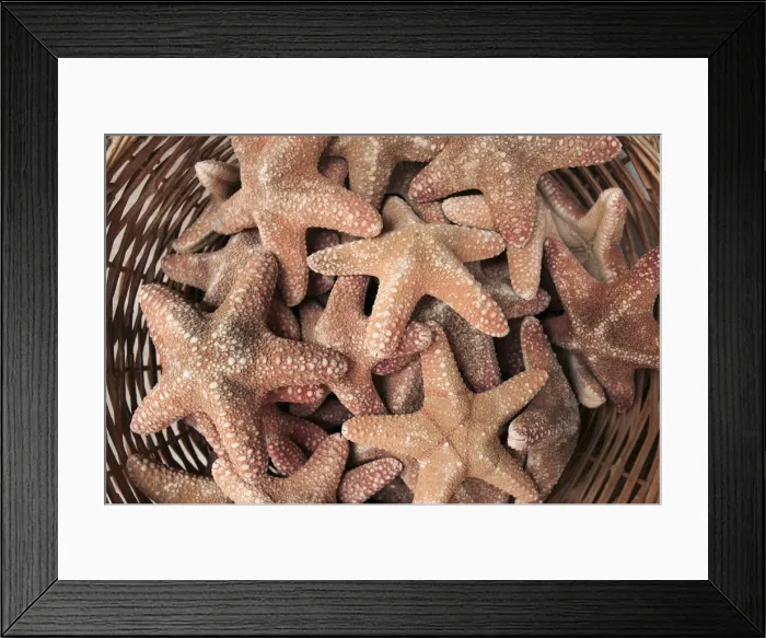 Framed Print : A basket of Starfishes, Rethymnon Old Town, Crete, Greece Framed Print : A basket of Starfishes, Rethymnon Old Town, Crete, Greece