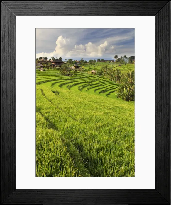 Framed Print : Indonesia, Bali, Sidemen Valley, Rice Fields Framed Print : Indonesia, Bali, Sidemen Valley, Rice Fields