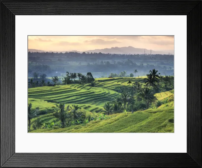 Framed Print : Indonesia, Bali, Jatiluwih Rice Terraces Framed Print : Indonesia, Bali, Jatiluwih Rice Terraces