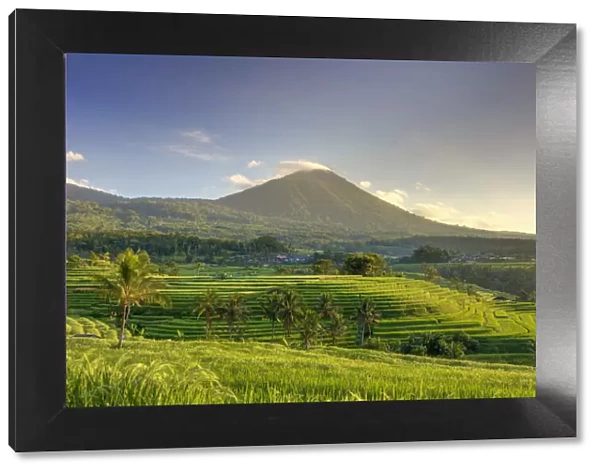 Indonesia, Bali, Central Mountains, Jatiluwih Rice Fields (UNESCO Site) with Mt