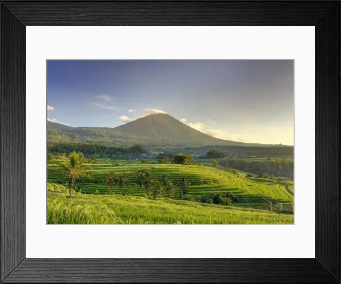 Framed Print : Indonesia, Bali, Central Mountains, Jatiluwih Rice Fields (UNESCO Site) with Mt Framed Print : Indonesia, Bali, Central Mountains, Jatiluwih Rice Fields (UNESCO Site) with Mt