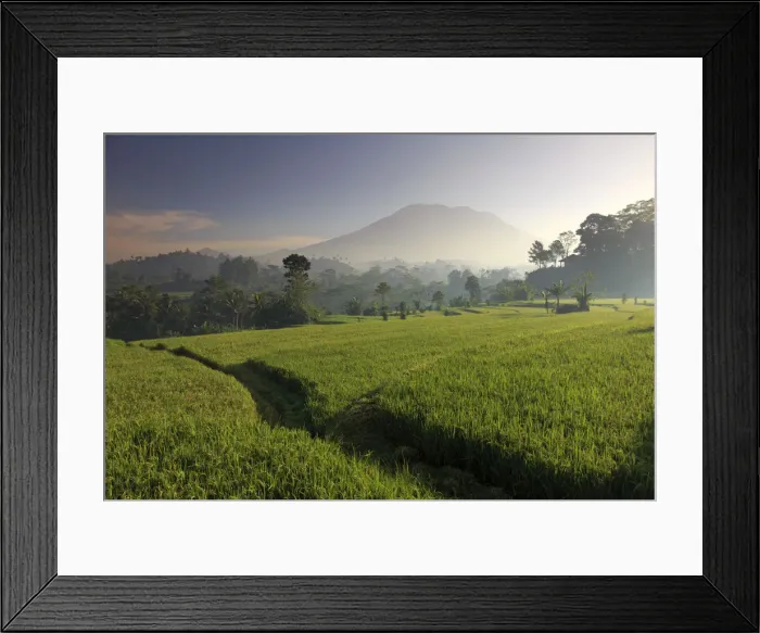 Framed Print : Indonesia, Bali, Sidemen, Iseh, Rice Fields and Gunung Agung Volcano Framed Print : Indonesia, Bali, Sidemen, Iseh, Rice Fields and Gunung Agung Volcano