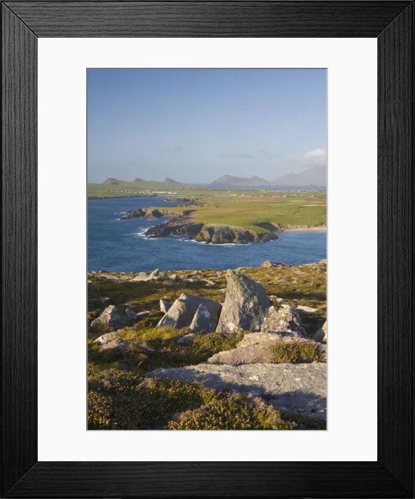 Framed Print : View over Ballyferriter Bay from Clougher Head, Dingle Peninsula, County Kerry, Munster Framed Print : View over Ballyferriter Bay from Clougher Head, Dingle Peninsula, County Kerry, Munster