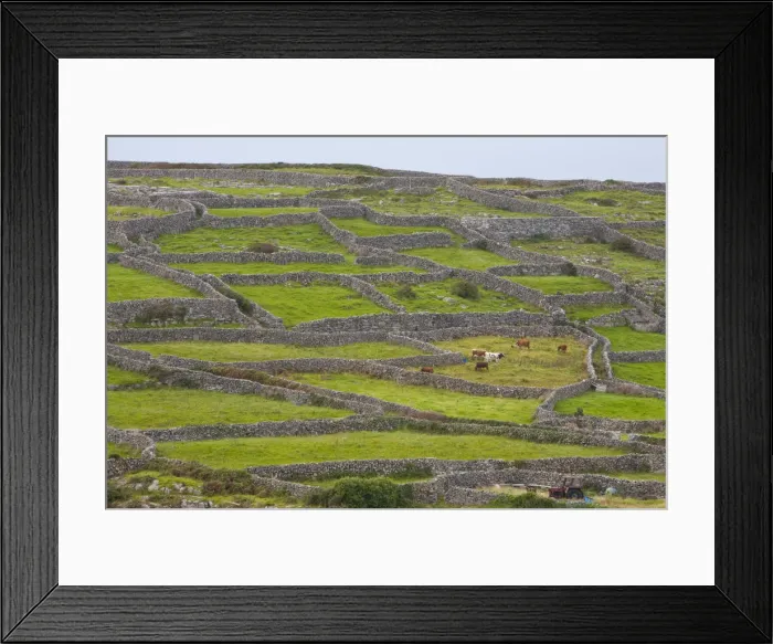 Framed Print : Dry Stone Walls, Inisheer, Aran Islands, Co. Galway, Ireland