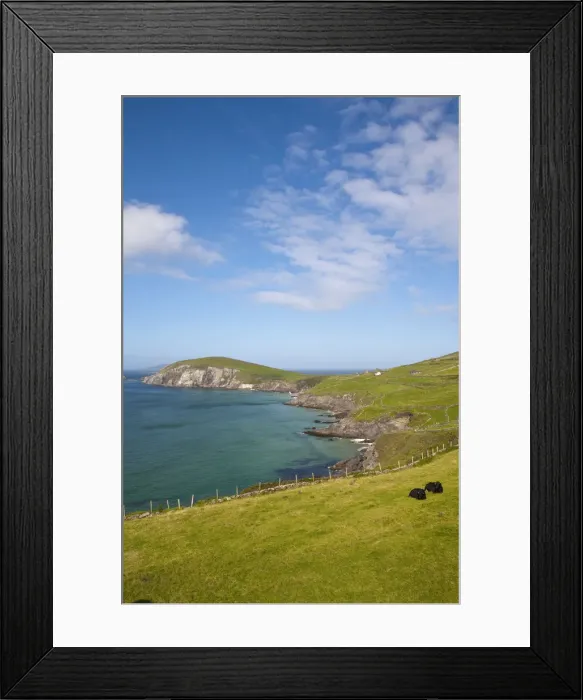 Framed Print : Dunmore Head, Dingle Peninsula, County Kerry, Munster, Republic of Ireland Framed Print : Dunmore Head, Dingle Peninsula, County Kerry, Munster, Republic of Ireland