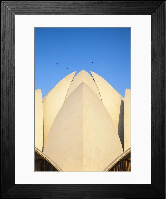 Framed Print : India, Delhi, New Delhi, Bahai House of Worship know as the The Lotus Temple Framed Print : India, Delhi, New Delhi, Bahai House of Worship know as the The Lotus Temple