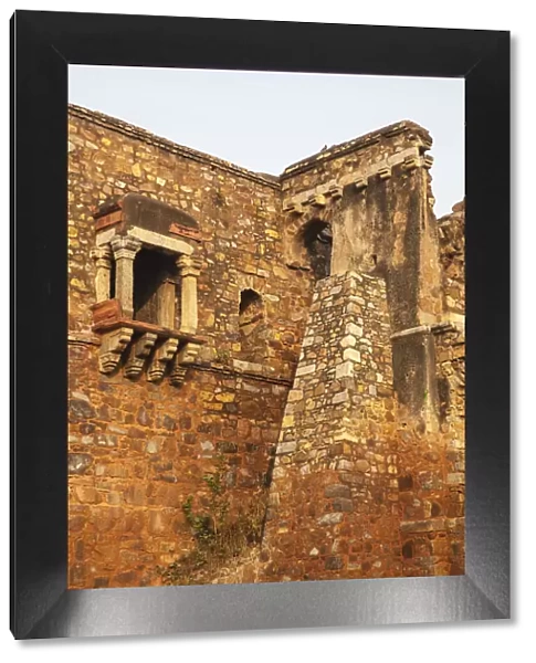 India, Delhi, New Delhi, Hauz Khas Village Ruins of Madrassa